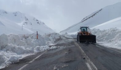 Nisan ayında kar etkili oldu