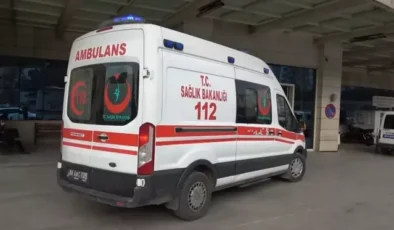 Siirt'te ağaç budarken kazara kolunu kesen kişi öldü