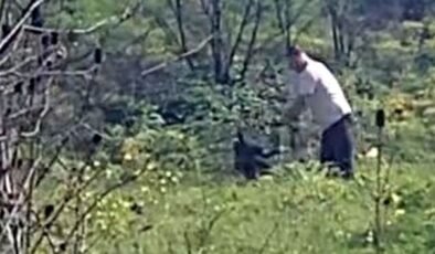 Avcılar'da köpeğe kemerle şiddet uygulayan şüpheli aranıyor