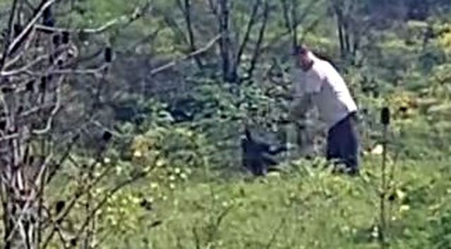 Avcılar'da köpeğe kemerle şiddet uygulayan şüpheli aranıyor