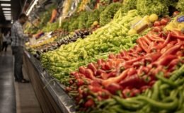 Avrupa Yakası’nın sebzesi 3’te 1 azaldı