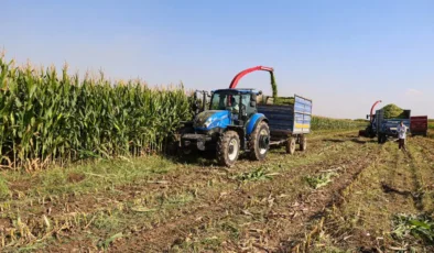 Ziraat odası başkanından 'Çiftçiye destek verilirse ithalata gerek kalmaz' açıklaması