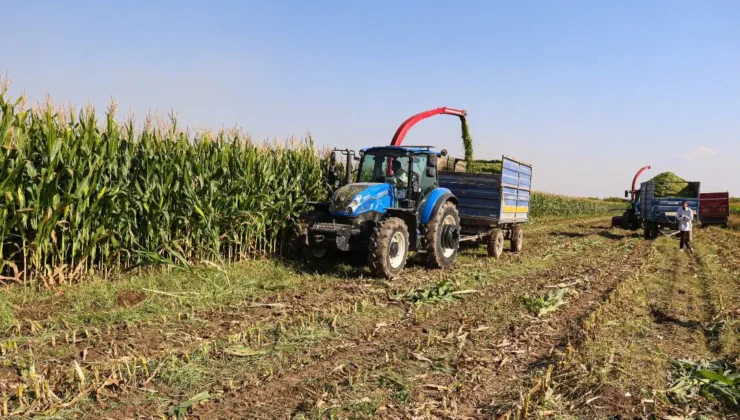Ziraat odası başkanından 'Çiftçiye destek verilirse ithalata gerek kalmaz' açıklaması