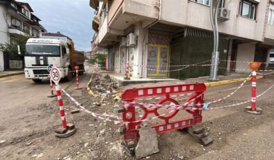 Çalışır vaziyette bırakılan kamyon dehşet saçtı! Yaşlı adam feci şekilde can verdi