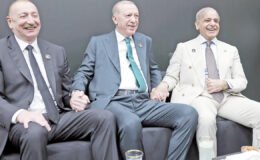 Erdoğan: Barışa giden en kestirme yol yapıcı diyalog ve diplomasidir