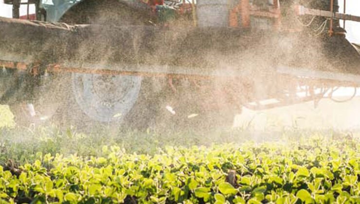 Tarımda üçlü kriz: Sel, savaş ve maliyetler fiyatları artırdı