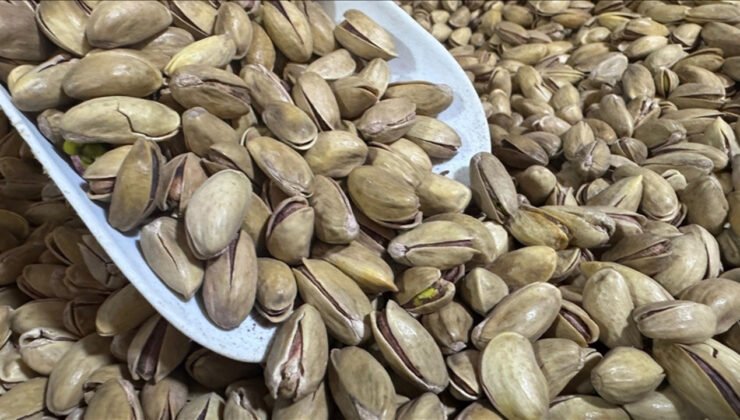 Fıstık ihracatında sert düşüş: İlk çeyrekte gelir geriledi