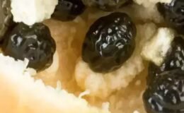 'Göklerden gelen bir armağan' olarak görülüyor: Tanesi 400 liradan satılıyor