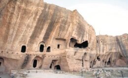 GÖKzemin’de 41 sanatçı var