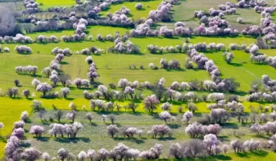 Görüntü İsviçre'den değil Türkiye'den