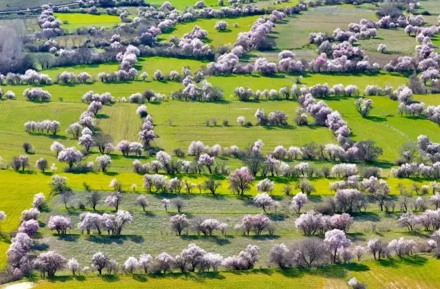 Görüntü İsviçre'den değil Türkiye'den