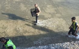 Haberi duyan balık toplamaya koştu