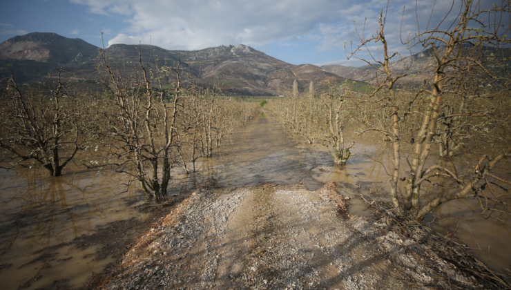Hasadın başlamasına günler kala çiftçiler perişan oldu! 12 yıl sonra bir ilk yaşandı