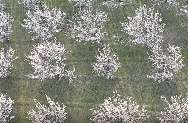 Akdeniz değil Doğu'nun Çukurova'sı! Görüntüler mest etti