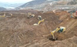 İliç’te kurda kuzu emanet etmişler!