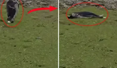 İsrail'den Suriye topraklarına baskın! Sivillere ateş açtılar