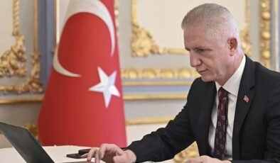 İstanbul Valiliği'nden belediyelere "sahipsiz köpek" talimatı