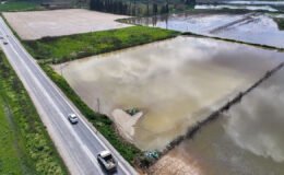 İzmir'de sağanak: Tarım arazileri sular altında kaldı