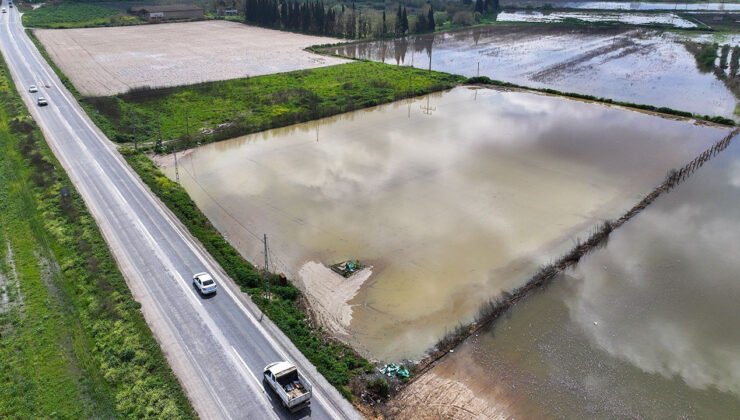 İzmir'de sağanak: Tarım arazileri sular altında kaldı