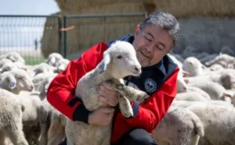 Küçükbaşa Destek Projesi ile ayda 15 bin yılda 180 bin lira destek