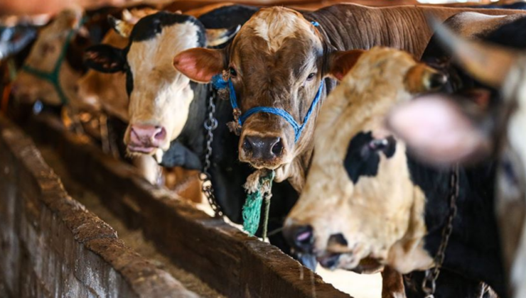 BAYRAM TARİHİ: Kurban Bayramı ne zaman, bayram tatili kaç gün?