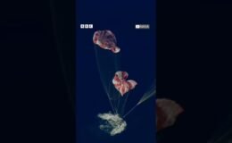 Artemis II Dünya’ya döndü