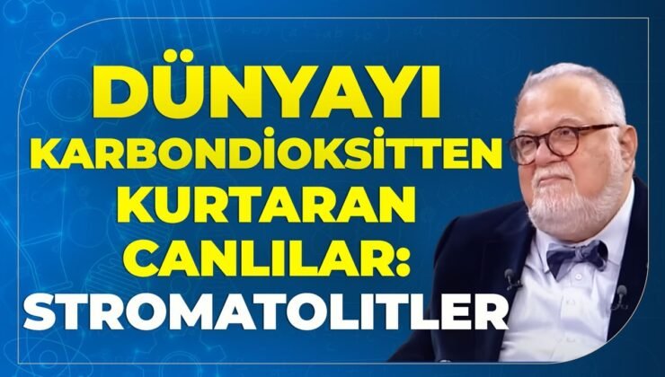 Dünyayı Karbondioksitten Kurtaran Canlılar: Stromatolitler.. Celal Şengör Anlattı..