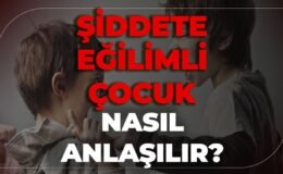 Şiddete Eğilimli Çocuk Nasıl Anlaşılır?