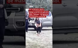 Kayalıklarda mahsur kalan köpek gönüllüler tarafından kurtarıldı