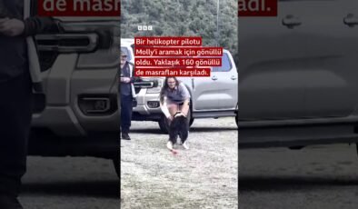 Kayalıklarda mahsur kalan köpek gönüllüler tarafından kurtarıldı