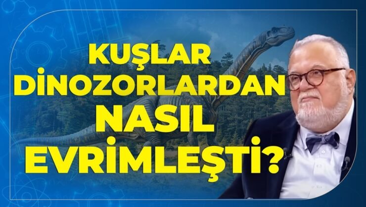 Kuşlar Dinozorlardan Nasıl Evrimleşti? 4 Kanatlı Microraptor Gerçeği.. Celal Şengör Anlattı..