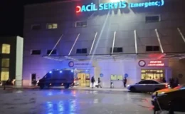 Balık firmasında amonyak zehirlenmesi: 15 kişi hastaneye kaldırıldı