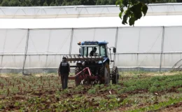 Orta Doğu gerilimi tarımda fiyatları yükseltiyor: Çiftçiler alternatiflere yöneliyor, AB destek paketleri hazırlıyor