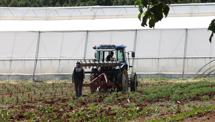 Orta Doğu gerilimi tarımda fiyatları yükseltiyor: Çiftçiler alternatiflere yöneliyor, AB destek paketleri hazırlıyor