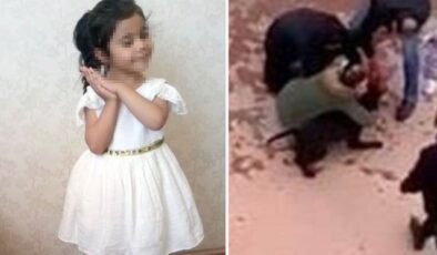 Gaziantep'te küçük Asiye'ye pitbull saldırısı davasında 6 sanığa hapis cezası verildi