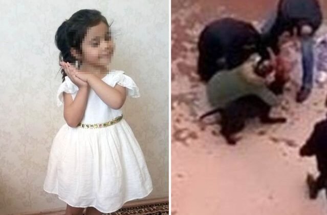 Gaziantep'te küçük Asiye'ye pitbull saldırısı davasında 6 sanığa hapis cezası verildi