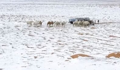 Suudi Arabistan'da çöller dolu yağışıyla beyaza büründü
