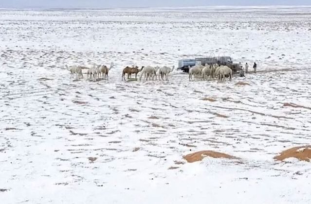 Suudi Arabistan'da çöller dolu yağışıyla beyaza büründü