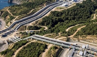 Sırbistan'da TürkAkım boru hattı yakınlarında patlayıcı madde bulundu