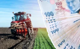 TC’si bu rakamla bitenlere bugün 13 milyar TL yatırılacak! Çiftçileri sevindirecek saat belli oldu