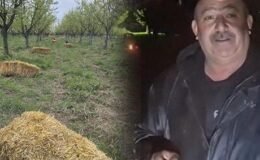 Teknoloji değil, dededen kalan yöntem kurtaracak: Büyüklerimizden bize miras