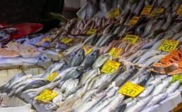 Tezgahta ne hamsi ne istavrit kalacak: Nisan ayının en sağlıklı balıkları belli oldu