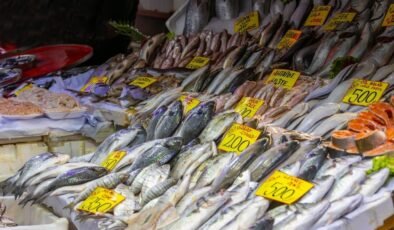 Tezgahta ne hamsi ne istavrit kalacak: Nisan ayının en sağlıklı balıkları belli oldu