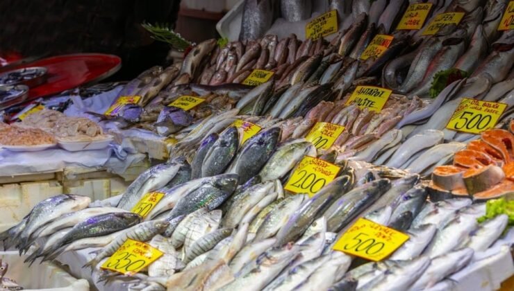 Tezgahta ne hamsi ne istavrit kalacak: Nisan ayının en sağlıklı balıkları belli oldu