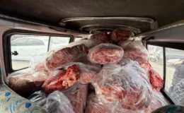 Gastronominin başkentinde rezil görüntüler! Hemen el konuldu