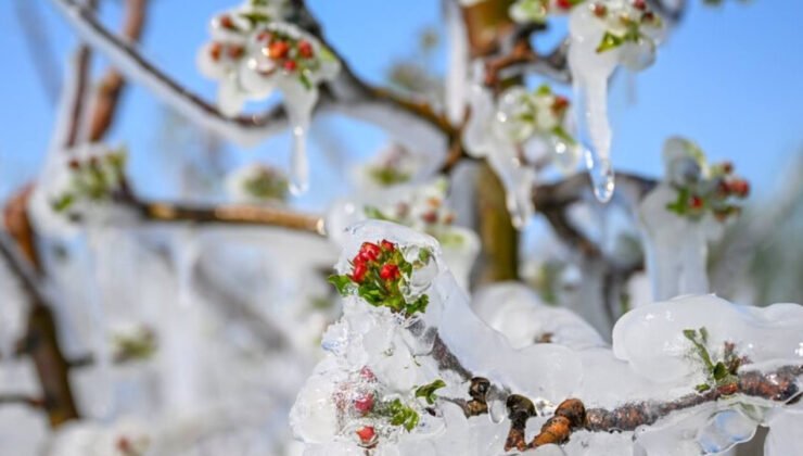 Çiftçinin kâbusu geri döndü: 3 bölgede zirai don alarmı