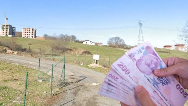 İstanbul’da 300 milyonluk tarla satışı: 24 yıldır imar yok