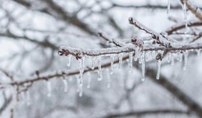 Meteoroloji uyardı! Doğu Karadeniz için zirai don alarmı