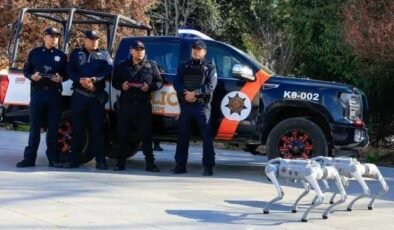 2026 Dünya Kupası'nda robot köpekler devriye gezecek: Meksika güvenlik önlemlerini artırıyor